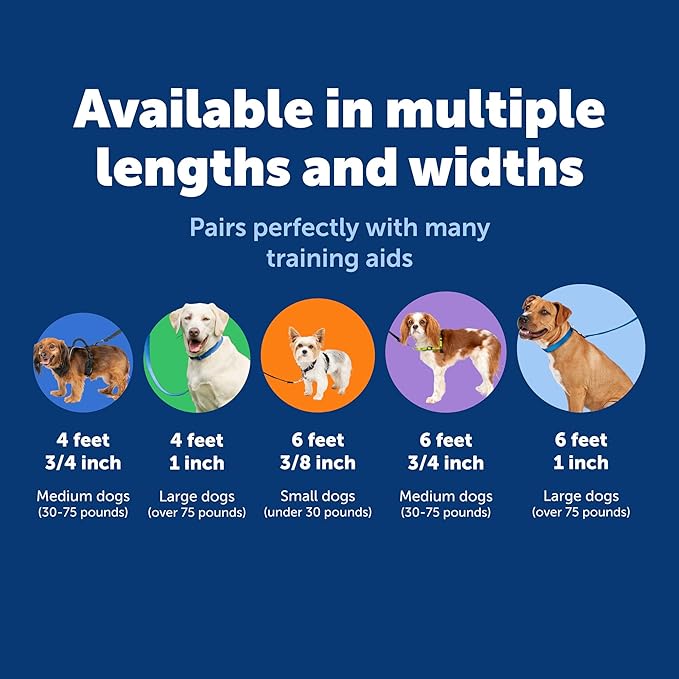 PetSafe Nylon Leash - Helps Maintain Secure Connection on Walks - Durable Pet Leash with Easy Clip - 1 in. x 4 ft. - Red
