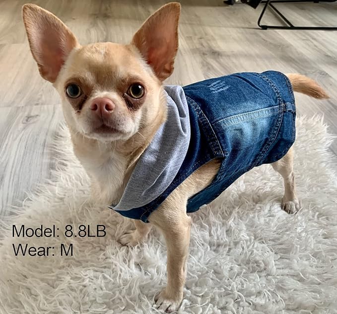Pet Clothes Dog Jeans Jacket Cool Blue Denim Hoodie Coat, Puppy Clothing Shirt Costume, Doggy Vintage Lapel Vest, Dog Classic T-Shirt Apparel for Small Medium Dogs Cats (Blue, X-Large)