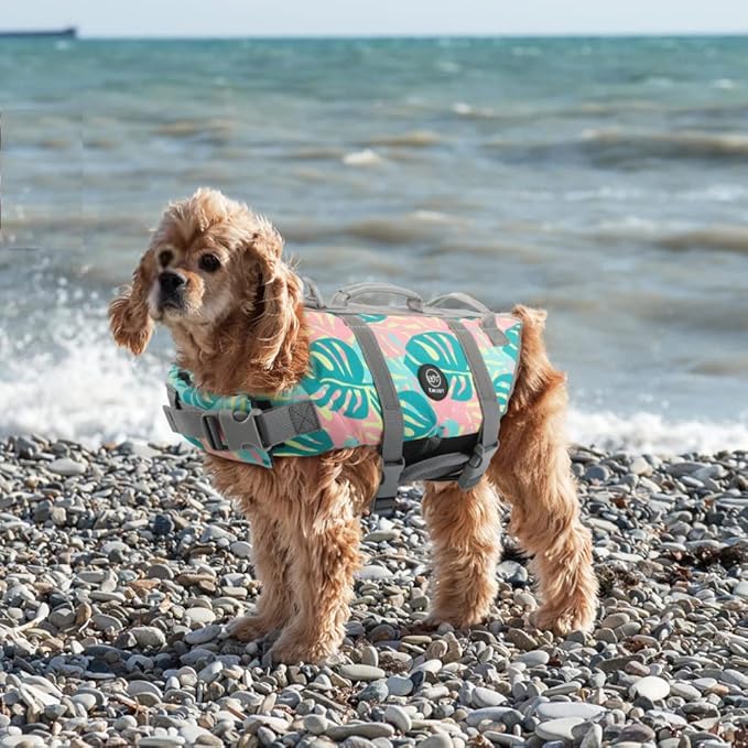 EMUST Dog Life Jackets, Dog Life Vests for Swimming, Beach Boating with High Buoyancy, Dogs Flotation Vest for Small/Medium/Large Dogs, S, Greenleaf