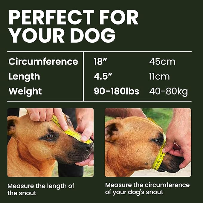 BRONZEDOG Dog Muzzle Adjustable Durable PVC Wire Basket for Large and Extra Large Dogs with Leather Straps Breathable, Drinkable, Training, Prevents Biting (PVC, Great Dane)