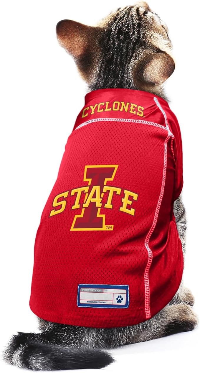 Littlearth NCAA Arizona Wildcats Basic Pet Jersey, Team Color, X-Large