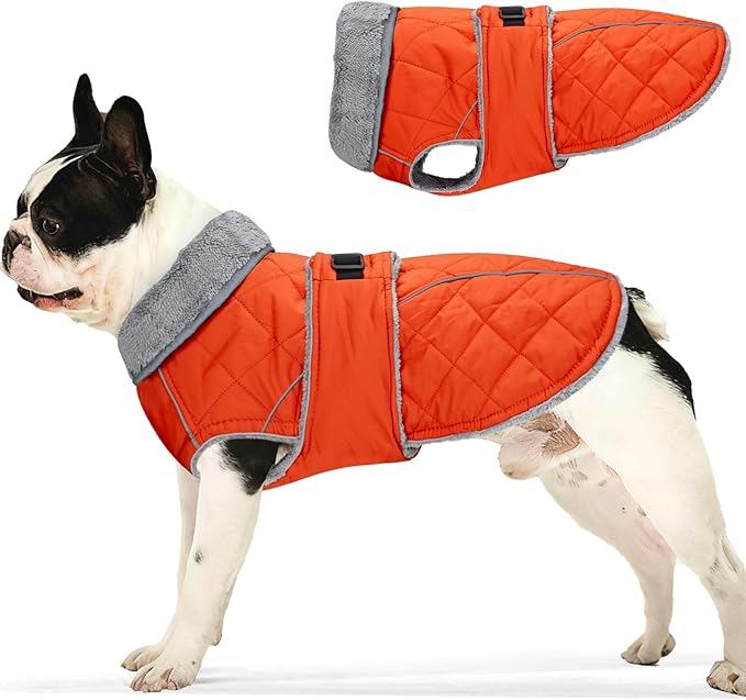 Dog Coat, Warm Dog Winter Coat for Medium Dogs, Waterproof Jacket with Adjustable Buckle & Velcro, Reflective Turtleneck Cold Weather Coats, Pet Fleece Vest Snow Jacket (Orange, XS)