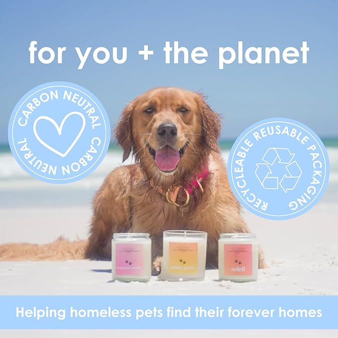 Fresh Linen | Pet Safe Wax Melts | All Natural Soy | Non-Toxic | Dog Friendly | Vet Approved | Long Lasting Home Fragrance | Pet Odor Eliminator | Clean Burning Wax Cubes | Safe Air Freshener