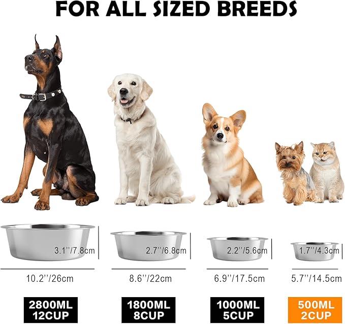 Stainless Steel Dog Bowls with Mat - Non-Slip EVA Rubber Bottom, Food & Water Bowl for Dogs, Cats - Dishwasher Safe