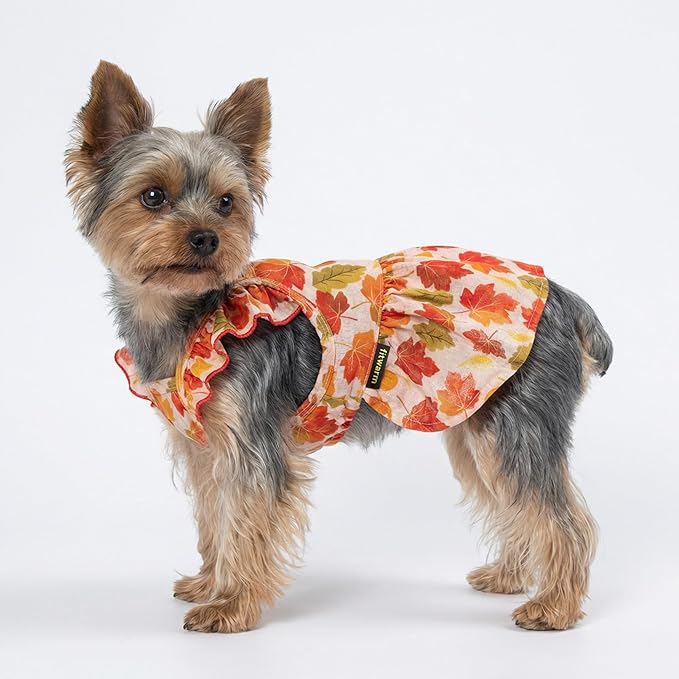 Fitwarm Maple Dog Dress, Ruffled Doggy Thanksgiving Dress, Fall Dog Clothes for Small Dogs Girl, Pet Outfit, Red, Orange, XS