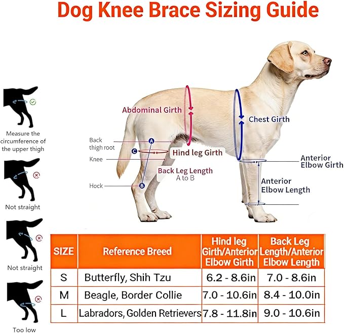 Dog Knee Support for Cruciate Injury – Breathable Neoprene, Flexible Stabilizer with Adjustable Straps, 4-Leg Universal Fit (Front/Hind, Left/Right), Ideal for Post-Op Healing (L)