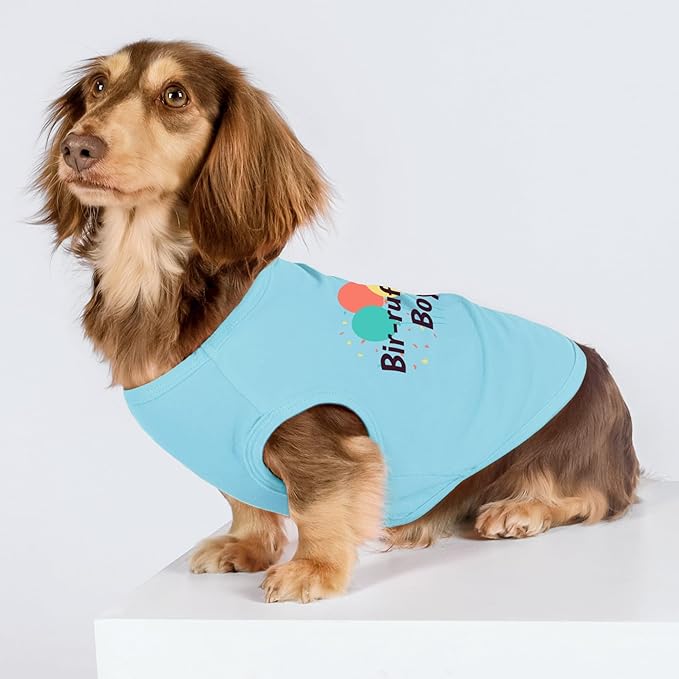 Fitwarm Birthday Boy Dog Shirt, Bir-Ruff-Day Boy Funny Dog Clothes for Small Dogs Boy, Pet Birthday Outfit, Cat Tshirt, 100% Breathable Cotton, Aqua Blue, XS
