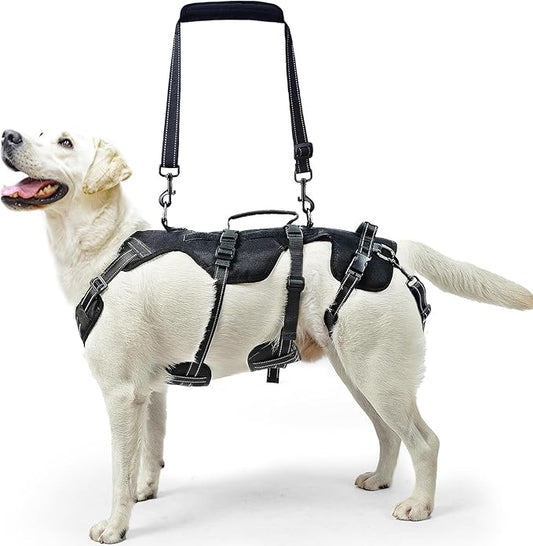 PUPTECK Dog Lift Harness for Medium Large Sized Dog, Rehabilitation Sling for Hind Leg Support, Multifunctional Mobility Assistance Harness for Old, Disabled, Joint Injuries, Paralysis Dogs