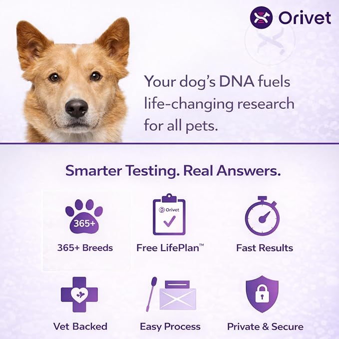 ORIVET Dog DNA Test Kit – Comprehensive Dog DNA Test Kit for 365+ Breed Identification & 330+ Health Markers | At Home Dog DNA Kit with Canine Genetic Testing & Life Plan Genopet Plus