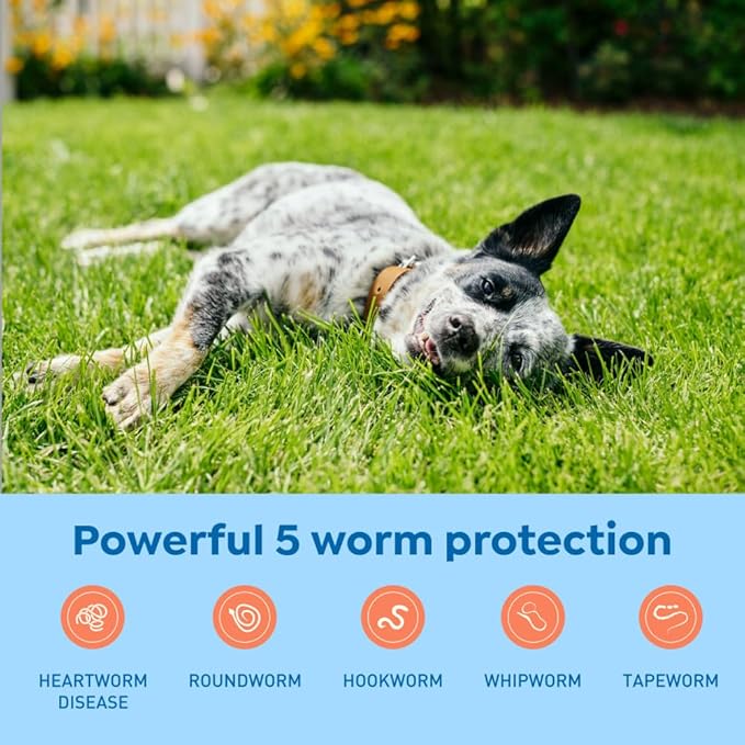 Interceptor Plus Prevention for Heartworm + 4 Other Worms for Dogs 25.1-50 lbs. | 1 Chew, 1-Month Supply