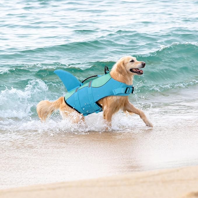 Queenmore Shark Dog Life Jacket, Dog Life Vests for Boating, High Buoyant Pet Life Vest for Swimming, Adjustable Easy On Life Jackets for Small, Medium, Large Dogs (Pool Blue,XXL)