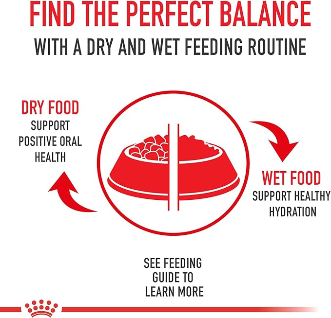 Royal Canin Size Health Nutrition Small Aging 12+ Senior Dry Dog Food, 12 lb Bag