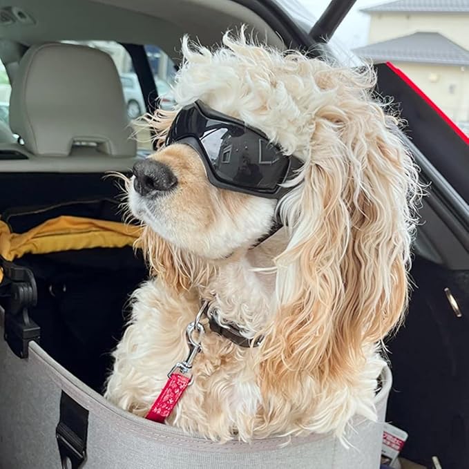 NAMSAN Dog Goggles Small Breed, UV Protection Doggie Sunglasses for Small to Medium Dogs, Soft Puppy Eye Protection, Anti-Fog Anti-Dust Windproof Snowproof, Adjustable Straps, Black