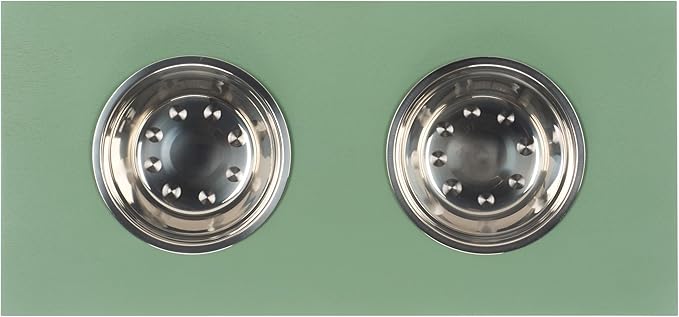 SAFAVIEH Home Collection Boomer Sage Green Elevated Pet Feeder Dog Bowl Stand with Drawer (Fully Assembled)