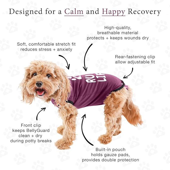 BellyGuard Dog Surgery Recovery Suit, Dog Onesie for Post-Op Care, Recovery Apparel for Female and Male, Surgical Body Cover for Canine Healing Support