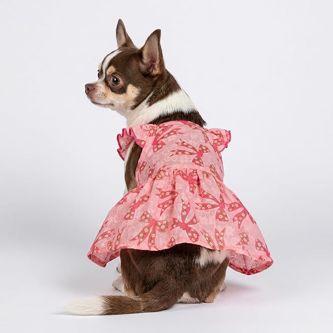 Fitwarm Ruffle Sleeves Bowknot Dog Dress, Birthday Clothes for Small Dogs Girl, Pet Outfit, Pink, Small
