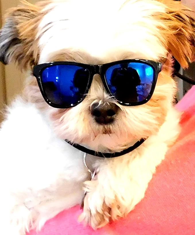 G014 Dog Cat Pet 80s Sunglasses Goggles for Small Breeds up to 15lbs (2-Pack Black+ Black-Blue Mirror)