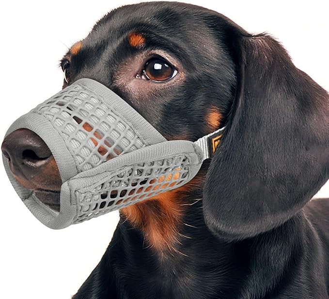 Mayerzon Dog Muzzle for Biting, Patented Soft Breathable Mesh Muzzle for Small Medium Dogs Chihuahua Dachshund Poodle, Adjustable Mouth Cover for Grooming, Chewing, Vet Visits (Dark Grey, M)