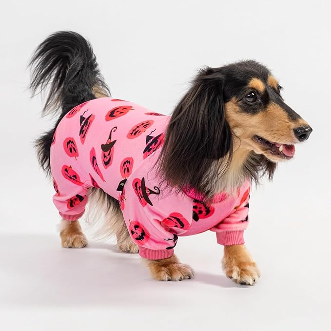 Fitwarm Halloween Jack O Lantern Dog Pajamas, Funny Costumes for Small Dogs Girl, Pet Outfit, Pink, Black, Medium