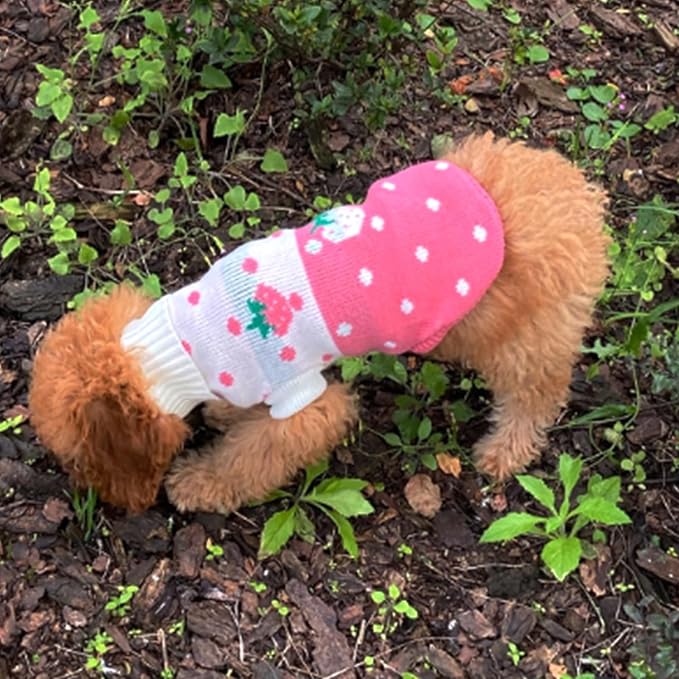 CHBORCHICEN Pet Dog Sweaters Classic Knitwear Turtleneck Winter Warm Puppy Clothing Cute Strawberry and Heart Doggie Sweater (Pink, X-Small)