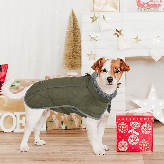 Fragralley Dog Coat Large, Waterproof Dog Jacket with Warm Fleece Lining, Adjustable Reflective Dogs Winter Coat, Turtleneck Pet Coats for Cold Weather (ArmyGreen L)