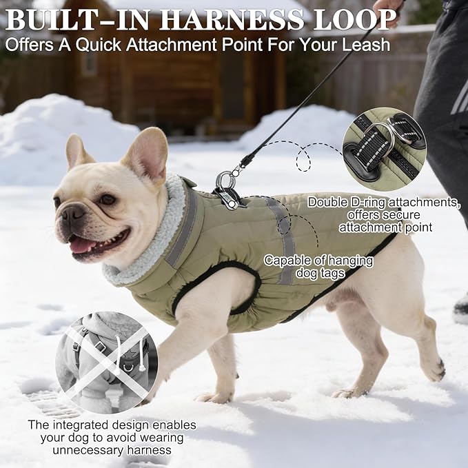 EXPAWLORER Dog Winter Coat Jacket, Thick Warm Waterproof Reflective Puppy Snowsuit with Harness Buit in, Pet Fleece Vest Soft Turtleneck with Zipper Cold Weather for Small Medium Dogs - Green, S