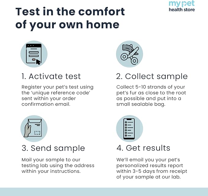 Allergen Sensitivity Test - Home Cat Allergen Test | 300 Items | Fast 3-5 Day Results | Gentle Fur Sampling | Comprehensive Food & Environment Analysis | Suitable for All Cats