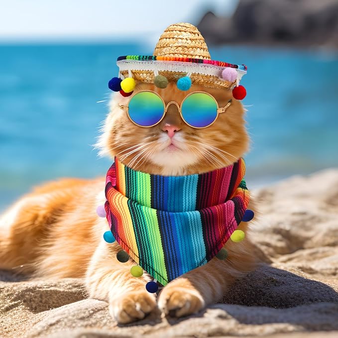 JaGely 3 Pcs Mexican Dog Costume Multicolor Cinco De Mayo Fiesta Cat Bandana with Pom Poms Porch Goose Outfits Mini Sombrero Mexican Hats Retro Pet Sunglasses Costume Accessories for Small Dog and Cat