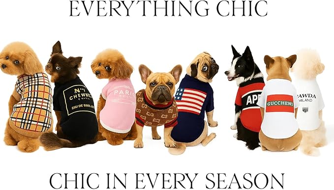 Luxury Dog Sweater – Soft Knit Designer Pet Outfit for Small Dogs & Puppies, XS–L, Stylish Warm Clothing for Yorkies, Chihuahuas, Dachshunds, Maltese, French Bulldog