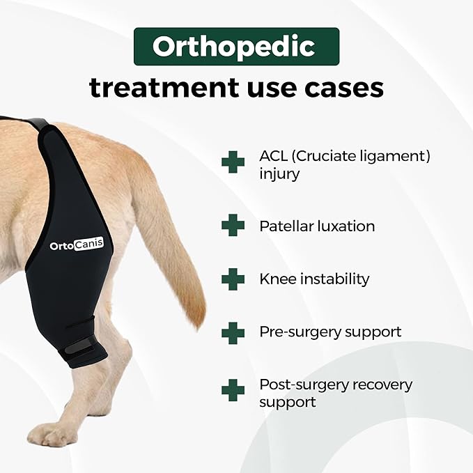 Ortocanis Dog Knee Brace for Hind Leg Support – Flexible Neoprene Knee Brace for Dogs with Joint Instability, Torn ACL, Limping or Osteoarthritis – Comfortable Support for Recovery (XXS, Right Leg)