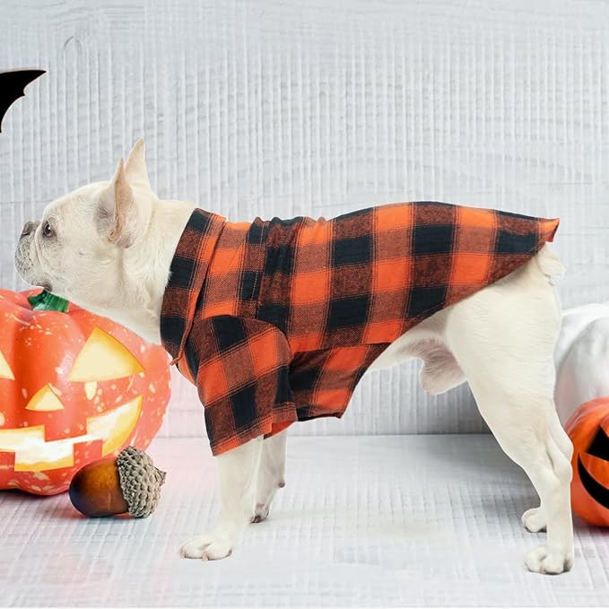 KOOLTAIL Fall Dog Shirt, Thanksgiving Orange Plaid Pet Shirts, Cute Dog Apparel Clothes Suitable for All Seasons, Comfortable Dogs T-Shirt for Small Medium Large Dogs Cats, Pet Outfit Costume, S