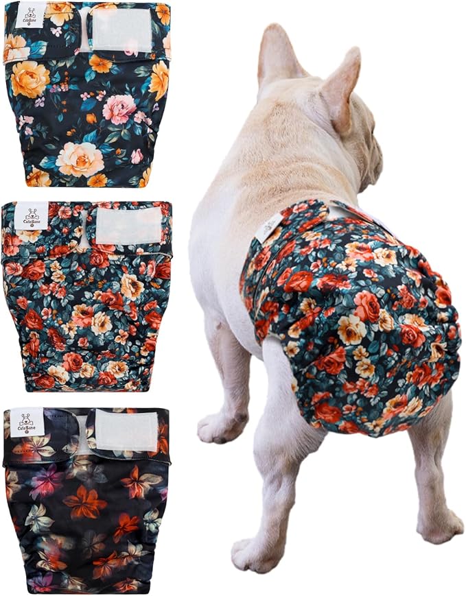 CuteBone Washable Dog Diapers Female No Tail Hole 3 Pack Reusable Doggie Period Training Pants for Docked-Tail Frenchie French Bulldog Boston Terrier Without Tail WWD33XS