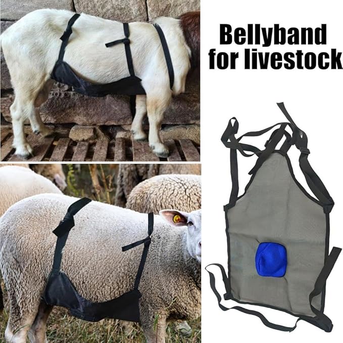 Goat Anti Breeding Apron, Anti Mating Skirt for Sheep & Goats, Animal Supplies, Livestock Clothing with Adjustable Strap, Prevent Unwanted Breeding