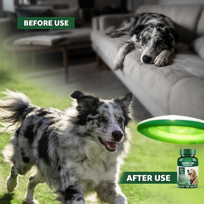 Dewormer for Dogs, Digestive Cleanser Treatment, Broad Spectrum for All Womer, Hookworms, Lung Worms, Pin Worms, Round Worms