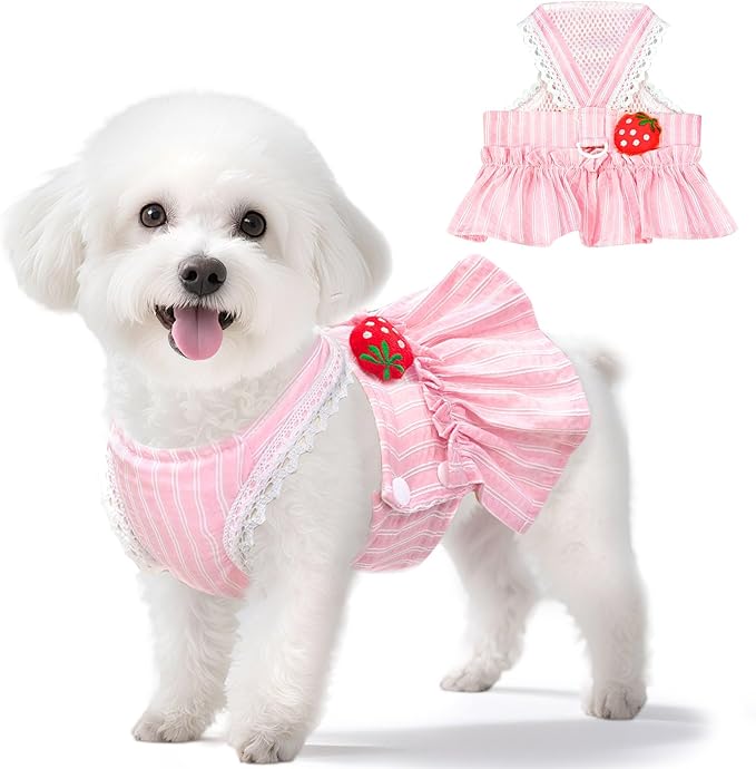 Cute Strawberry Small Dog Dress with D-Ring Princess Lace Girl Female Dog Clothes Spring Summer Breathable Mesh Pet Puppy Cats Harness Dress for Shih Tzu Yorkies Chihuahua Maltese(Pink,Large)