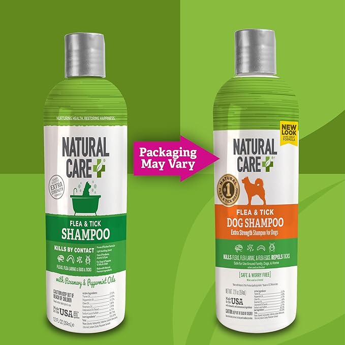 Natural Care Flea and Tick Dog Shampoo - Flea & Tick Treatment for Dogs - Flea & Tick Killer with Certified Natural Oils - 12 Fluid Ounces
