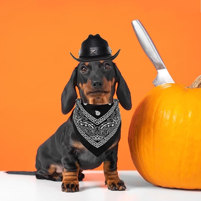Fumwase Pet Cowboy Costume Halloween Costumes for Dogs Cat Puppy Hats with Bandana Scarf Cowboy Costume Accessories Dog Cat for Party Festival and Daily Wearing (Black, Small)
