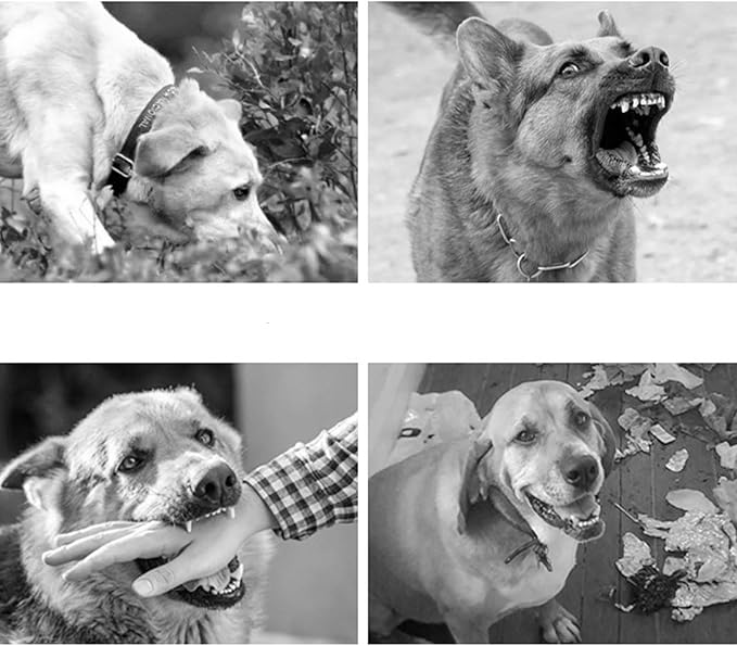 New Dog Muzzle for Small Dogs, to Prevent Biting, Soft Material with Reflective & Adjustable Strap, Breathable Mouth Guard for Biting Chewing Grooming, Allow Panting Drinking (Black, S Size)