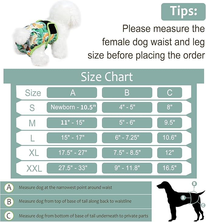 Washable Female Dog Diapers - Premium Reusable Diapers for Doggie in Heat - Highly Absorbent Dog Diapers Female for Pet Incontinence with Adjustable Snaps (Succulents, XL)