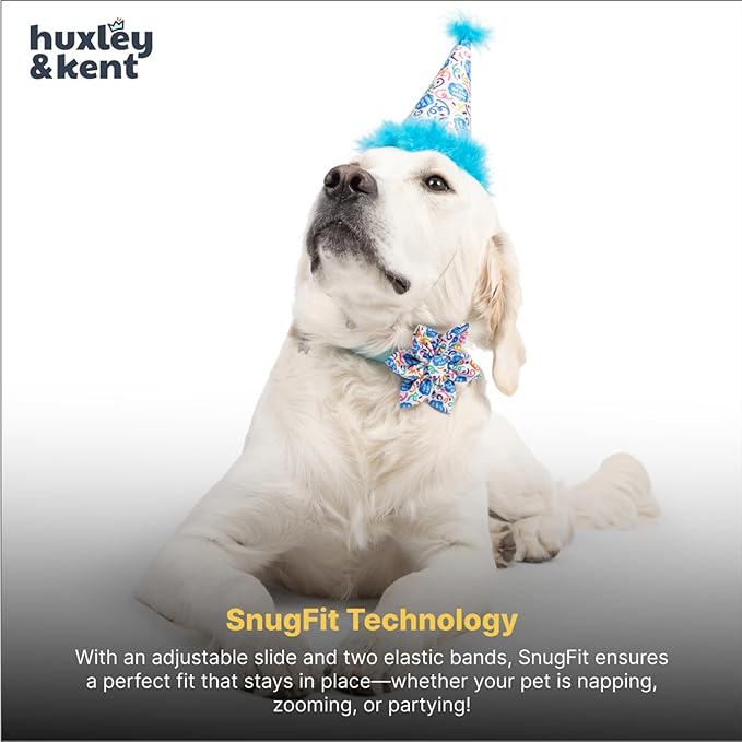 Huxley & Kent Pet Party Hat w/SnugFit Tech - Cute Glitter Doggie Birthday Party Hat - Cat & Dog Birthday Hat - Dog Hats for Parties, Adoption or Gotcha Day (Happy Got Me Day, Large)