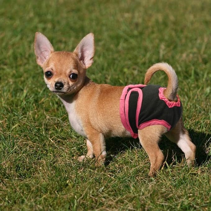 Dog Sanitary Pant,Breathable Cotton Washable Female Dog Diaper Dog Suspender Nappy Menstrual Underwear Pants for Girl Female Dog Menstruation and Avoid Harassment (L)