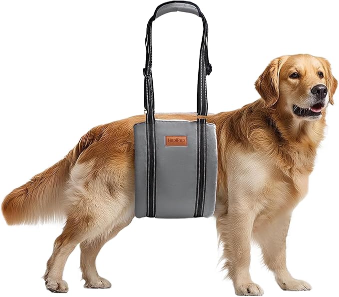 Dog Lift Harness for Large Dogs, Adjustable Comfortable Dog Sling with Handle, Knee & Rear Leg Support for Torn ACL Rehabilitation, Weak Rear Legs, Helps Senior, Disabled Canines(Grey,M)