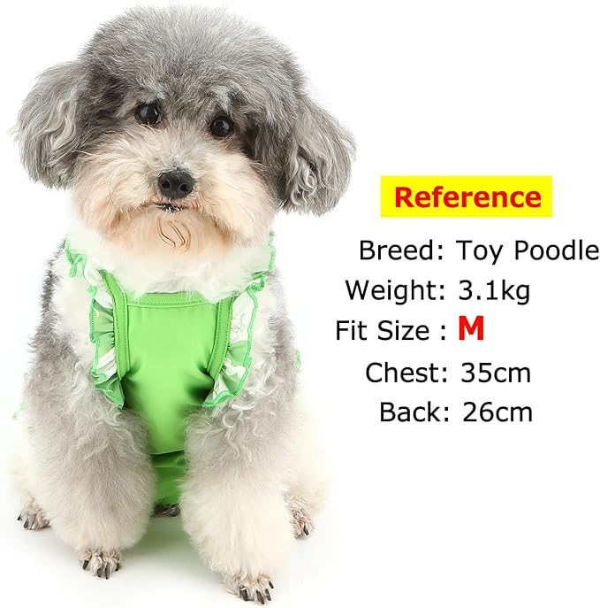 Zunea Washable Female Small Dog Diapers for XS/S Size Dogs Adjustable Suspender Reusable Puppy Sanitary Diaper Pantie Cute Love Print Nappies Skirt for Doggy Chihuahua Yorkie in Heat Green XXL