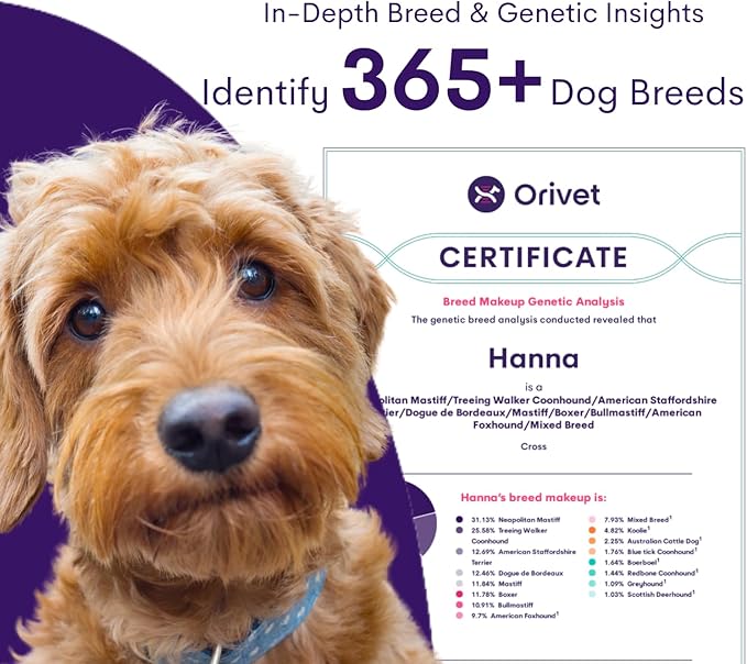 ORIVET Dog DNA Test Kit – Comprehensive Dog DNA Test Kit for 365+ Breed Identification & 330+ Health Markers | At Home Dog DNA Kit with Canine Genetic Testing & Life Plan Genopet Plus