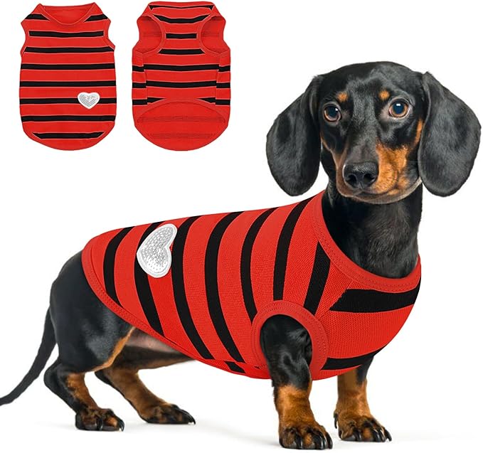 Queenmore Small Dog Shirt,Soft Breathable Dog Shirt for Dogs Cats Boy Girl,Pet Clothes for All Season,Breathable Lightweight Pet Tshirt for Frenchie, Dachshund, Yorkie