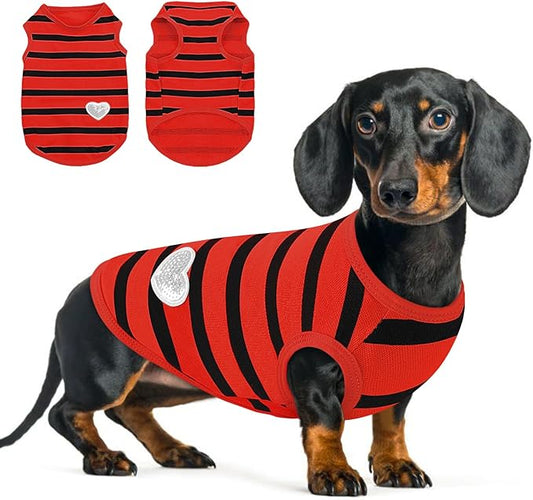 Queenmore Small Dog Shirt,Soft Breathable Dog Shirt for Dogs Cats Boy Girl,Pet Clothes for All Season,Breathable Lightweight Pet Tshirt for Frenchie, Dachshund, Yorkie