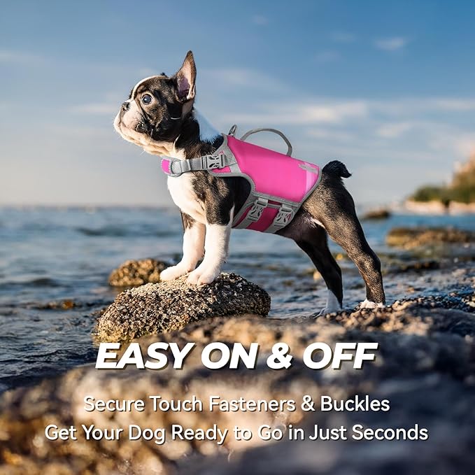 VIVAGLORY Neoprene Dog Life Vest, Dog Life Jacket for Swimming & Boating, Lightweight & Buoyancy for Puppy Doggy, Swimming Vest with Handle, M, Raspberry Pink