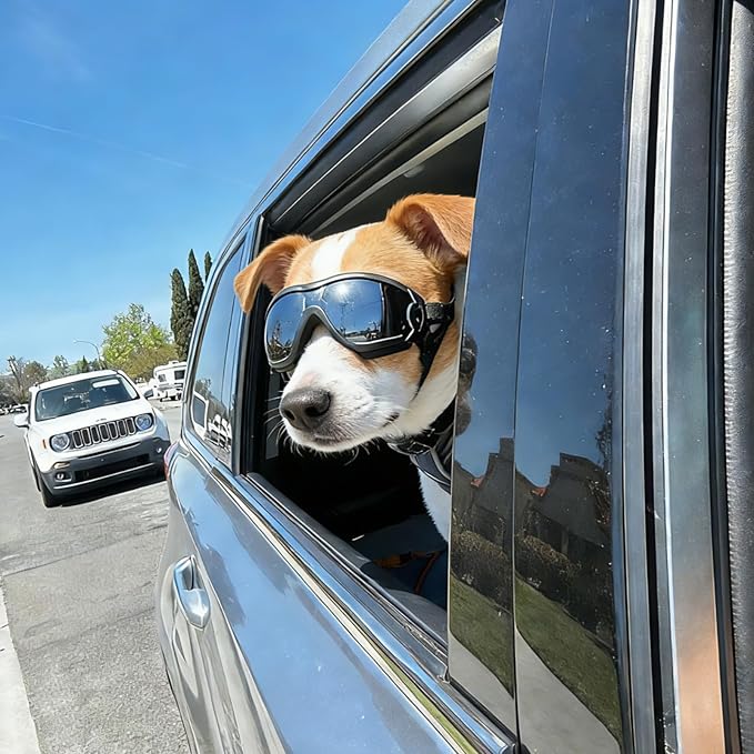 PETLESO Dog Goggles for Small Breeds, UV Protection Dog Sunglasses with Adjustable Straps, Outdoor Windproof Pet Eyewear for Small to Medium Pet, Soft Frame, M