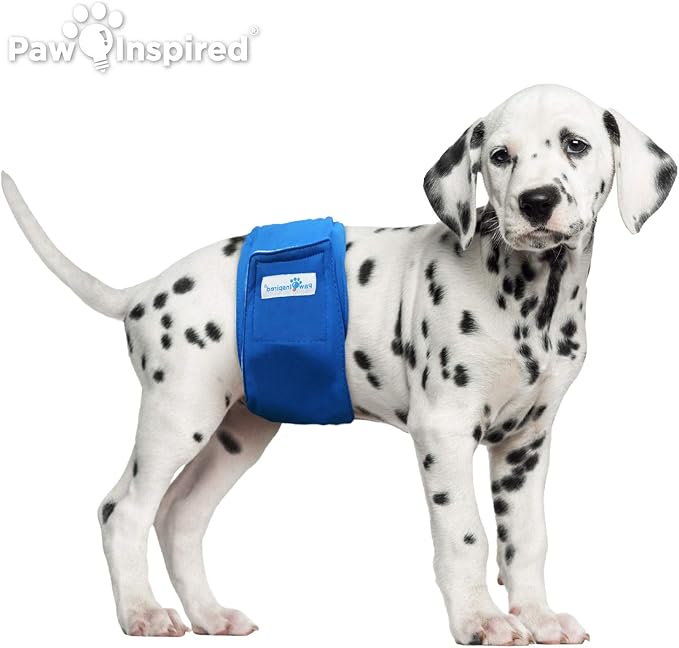 Paw Inspired Ultra Protection Washable Male Wraps, Reusable Belly Bands (3 Count, Small) Assorted color