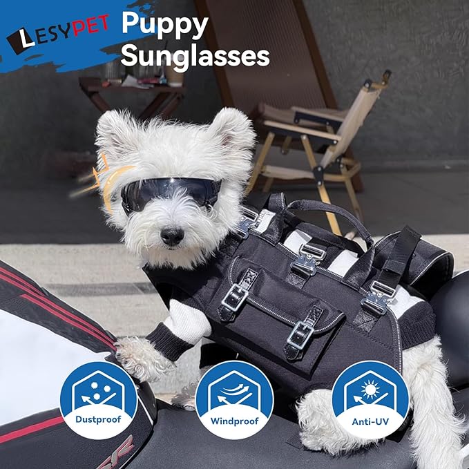 LESYPET Dog Sunglasses for Small Breed, UV Wind Dust Protection Dog Goggles for Pet Outdoor Driving Riding, Pet Glasses Eye Wear with Adjustable Strap, Gold